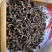 优质大红公丁香香料调料炒菜卤料火锅底料可打粉可钓鱼足干无