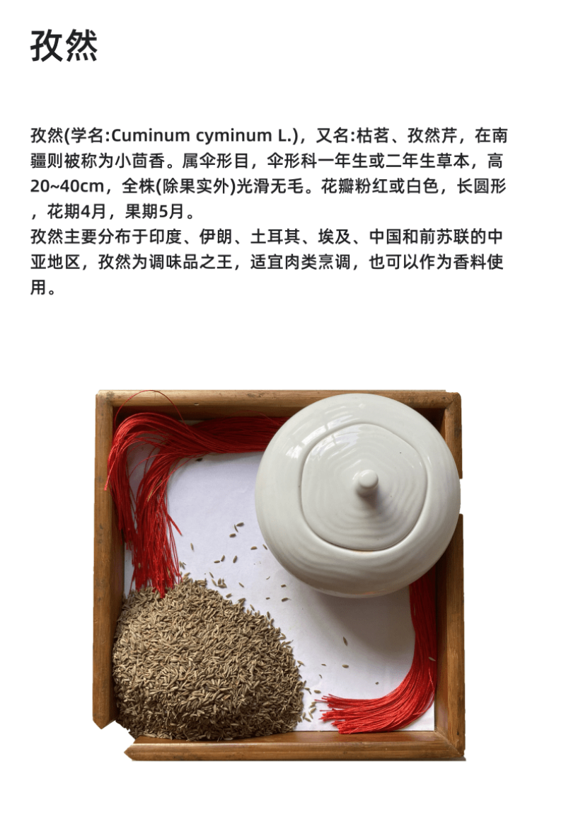 孜然粒烧烤调料撒料家用烧烤料商用调味料烤羊肉串可打粉爆油