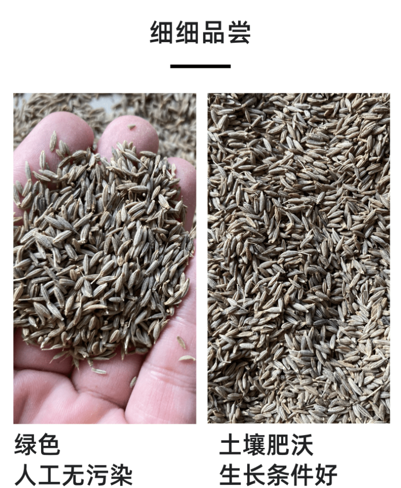 孜然粒烧烤调料撒料家用烧烤料商用调味料烤羊肉串可打粉爆油