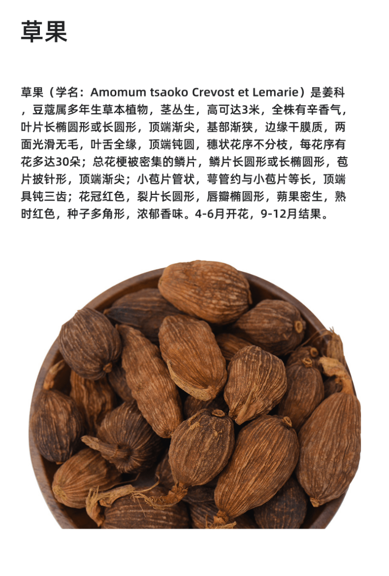 草果卤肉炖肉川菜火锅提味增香去腥解腻香料调料爆油足干无硫
