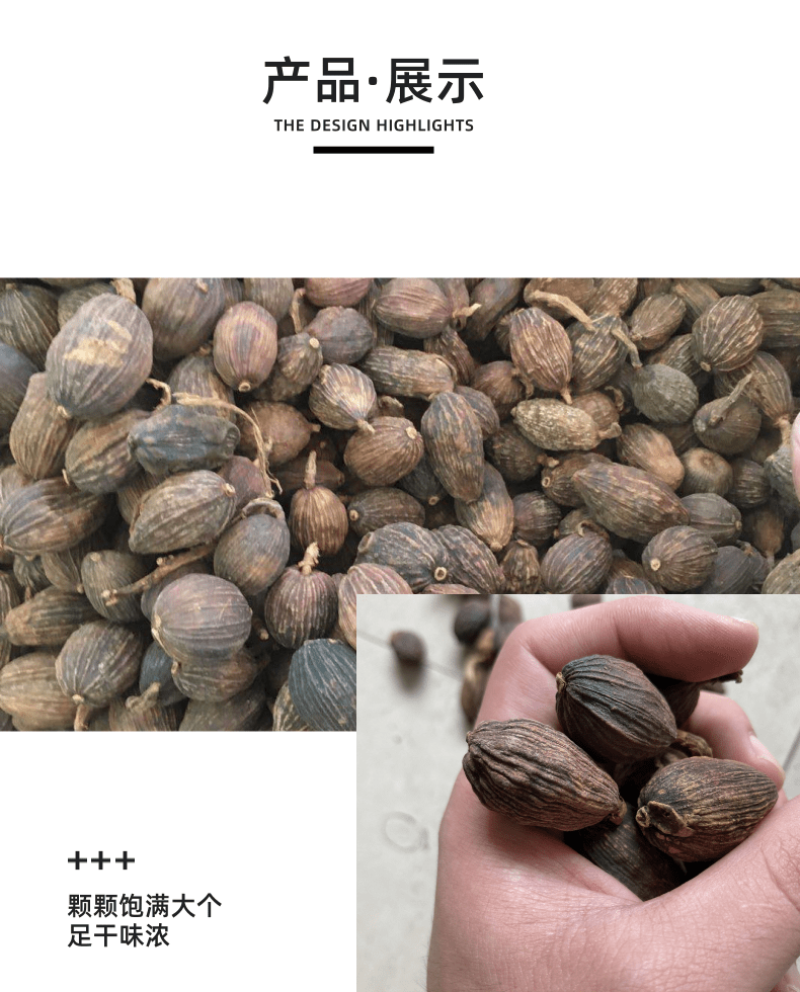 草果卤肉炖肉川菜火锅提味增香去腥解腻香料调料爆油足干无硫