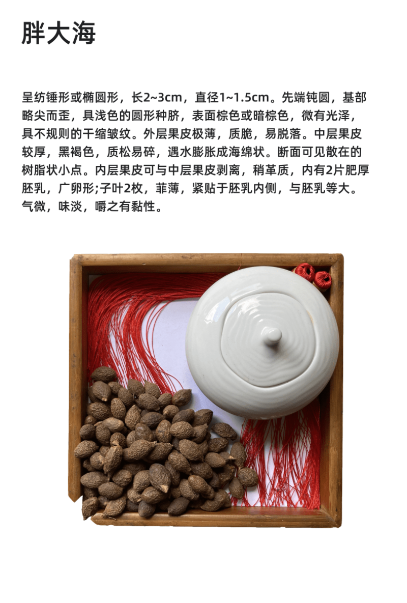 【店铺热销】胖大海子润喉个大饱满粒粒泡开吸烟者清嗓无硫绿