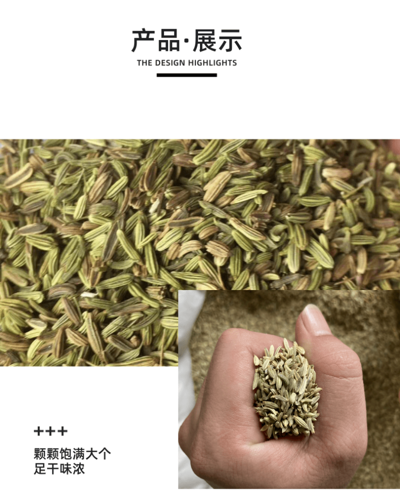 【特级】小茴香特绿粒调料小回香籽足干无硫可打粉炖肉卤料调
