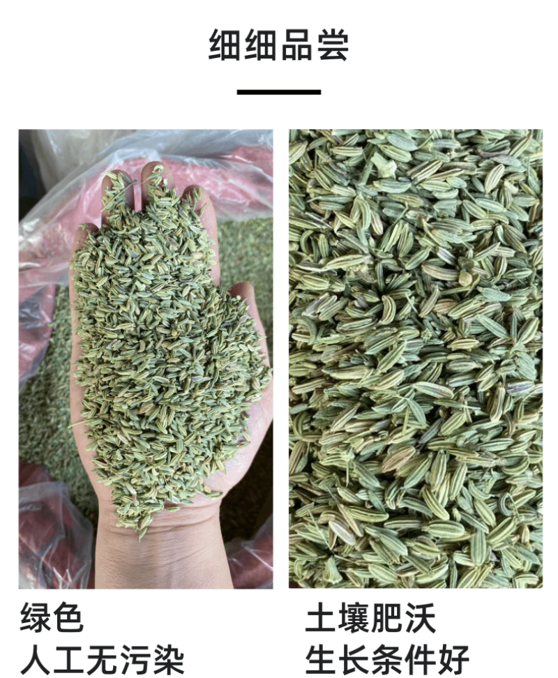 【特级】小茴香特绿粒调料小回香籽足干无硫可打粉炖肉卤料调