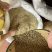 【特级】小茴香特绿粒调料小回香籽足干无硫可打粉炖肉卤料调