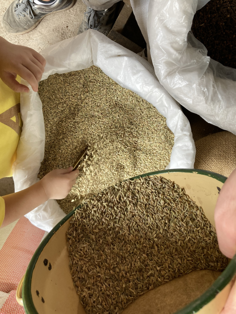 【特级】小茴香特绿粒调料小回香籽足干无硫可打粉炖肉卤料调