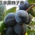 【新品种】黑柿子树苗脆甜柿子树苗自然脱涩下单现挖苗南北方