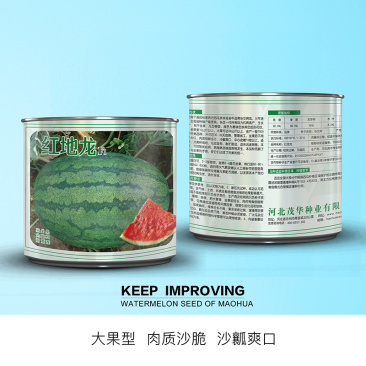 中科茂华西瓜种子抗重茬红地龙超甜中华蜜宝免整枝打叉