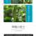 中科茂华黄瓜种子茂华三号旱黄瓜种子节节有瓜易管理高产