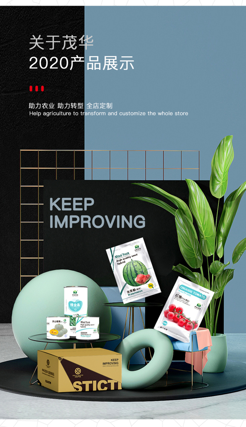中科茂华黄瓜种子茂华三号旱黄瓜种子节节有瓜易管理高产
