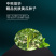 中科茂华黄瓜种子茂华二号旱黄瓜种子无苦味全雌系品质高