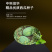 中科茂华西瓜种子抗重茬高抗十号超甜中华蜜宝免整枝打叉