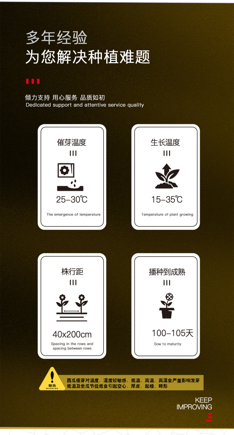 中科茂华西瓜种子抗重茬高抗十号超甜中华蜜宝免整枝打叉