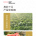 中科茂华西瓜种子抗重茬高抗十号超甜中华蜜宝免整枝打叉