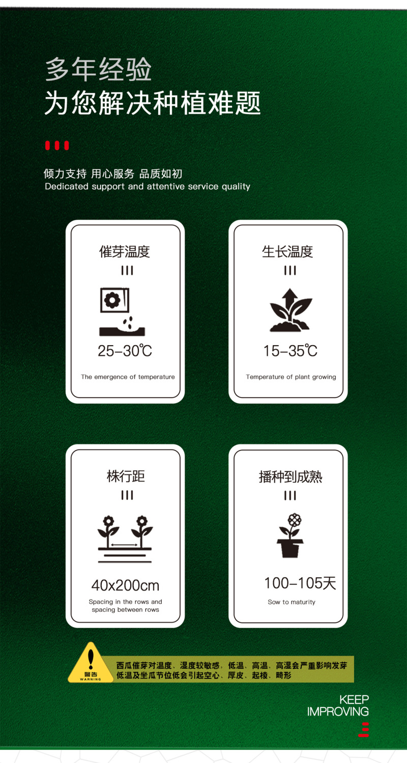 中科茂华西瓜种子抗重茬红地龙超甜中华蜜宝免整枝打叉
