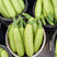 中科茂华蔬菜种子中科绿盛西葫芦种子耐热抗病毒高亮度早熟