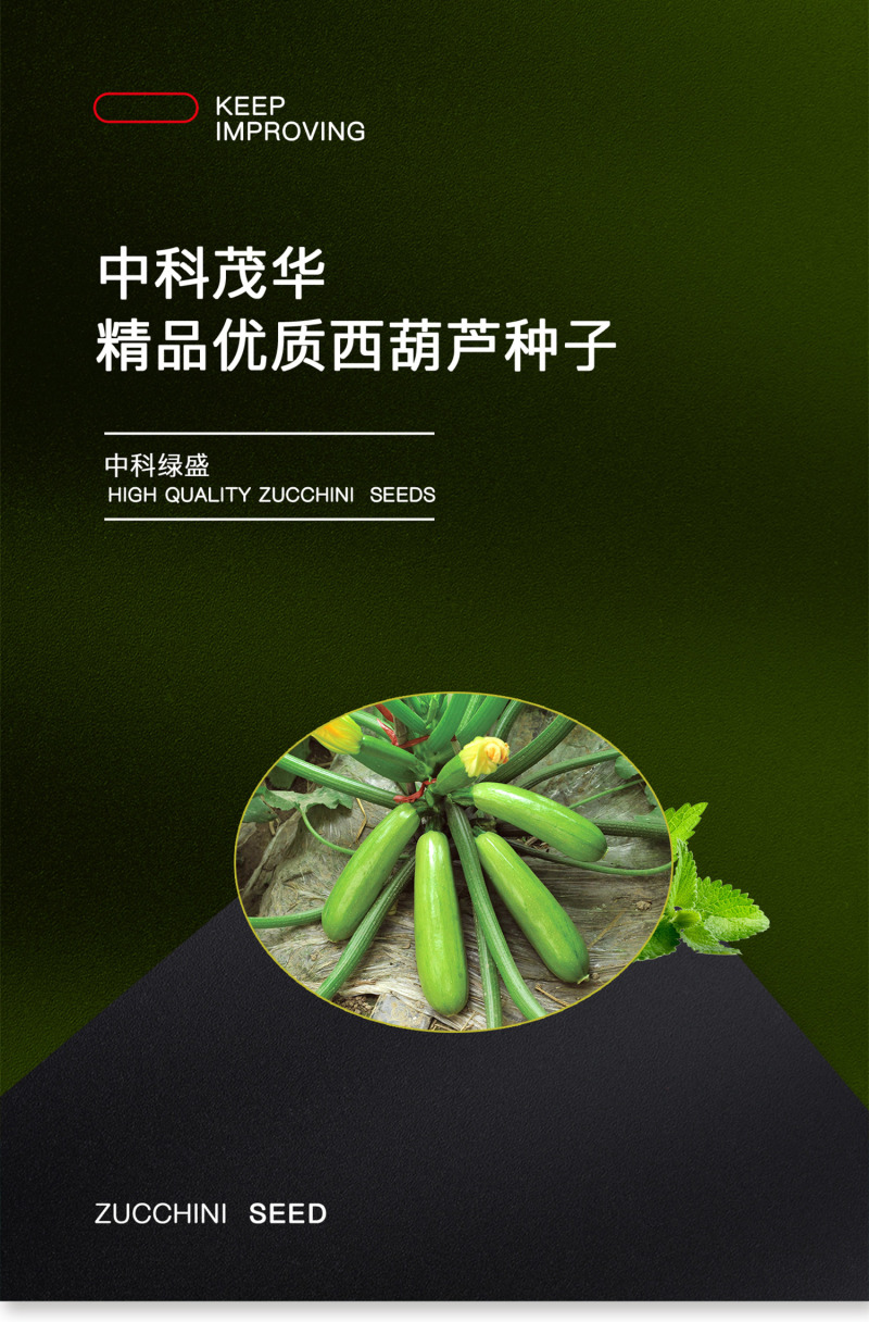 中科茂华蔬菜种子中科绿盛西葫芦种子耐热抗病毒高亮度早熟