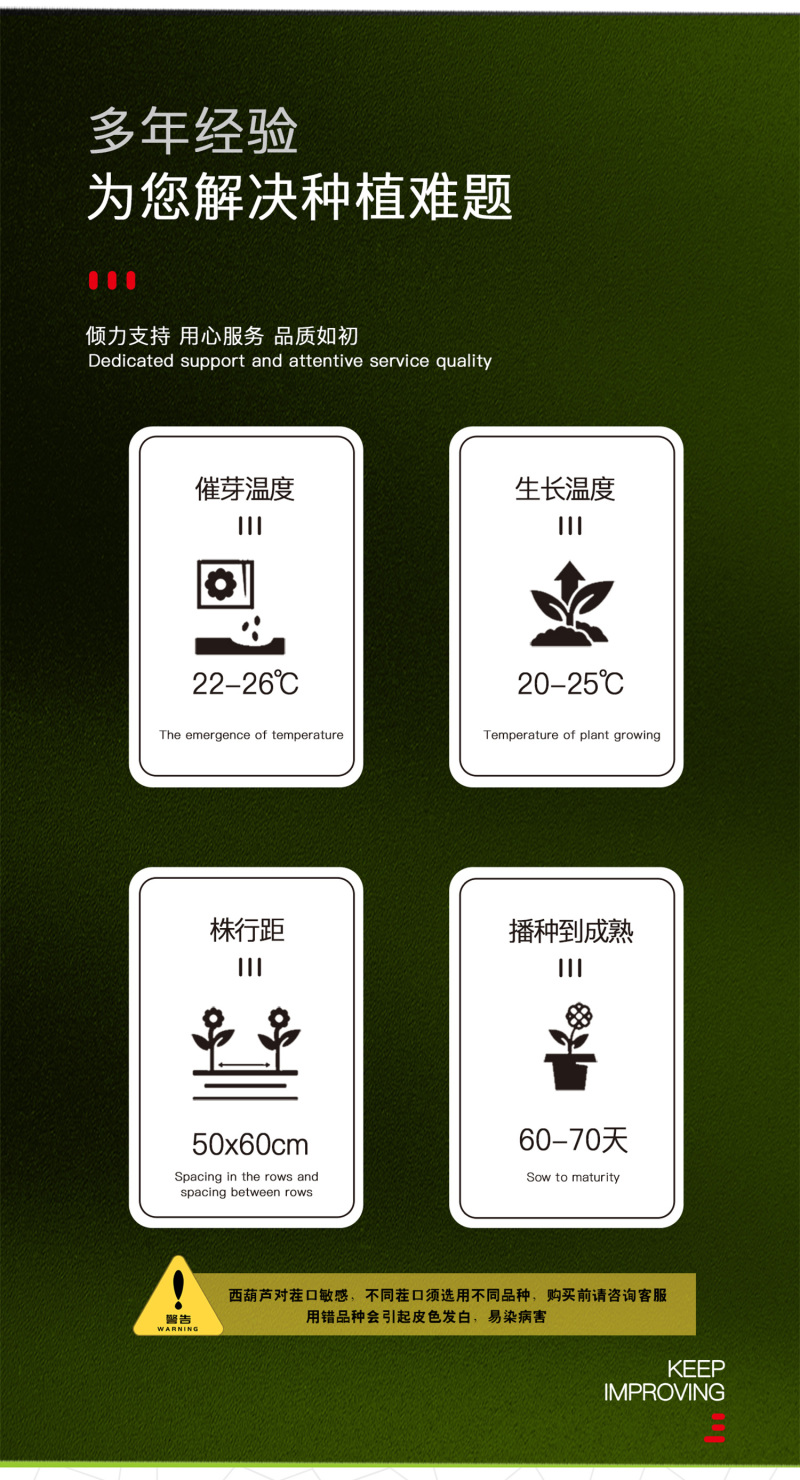 中科茂华蔬菜种子中科绿盛西葫芦种子耐热抗病毒高亮度早熟
