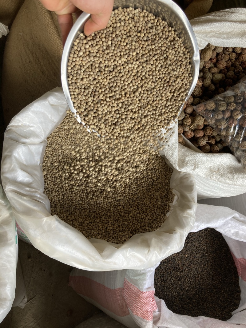 白胡椒粒特级白胡椒子颗粒可打散粉调料水洗白椒海南特产足干