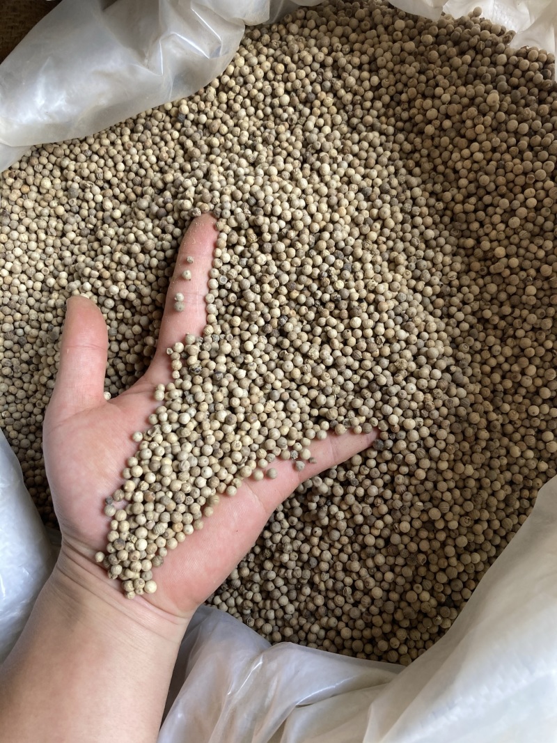 白胡椒粒特级白胡椒子颗粒可打散粉调料水洗白椒海南特产足干