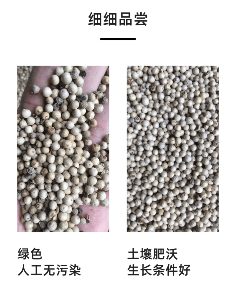 白胡椒粒特级白胡椒子颗粒可打散粉调料水洗白椒海南特产足干
