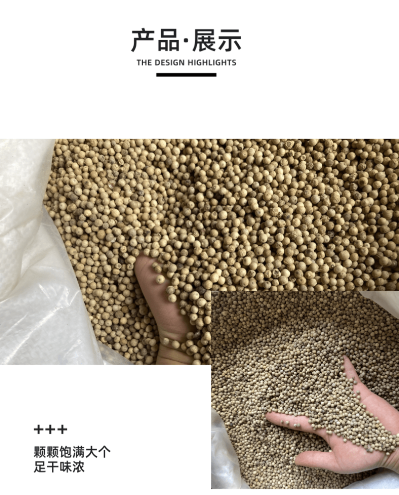 白胡椒粒特级白胡椒子颗粒可打散粉调料水洗白椒海南特产足干