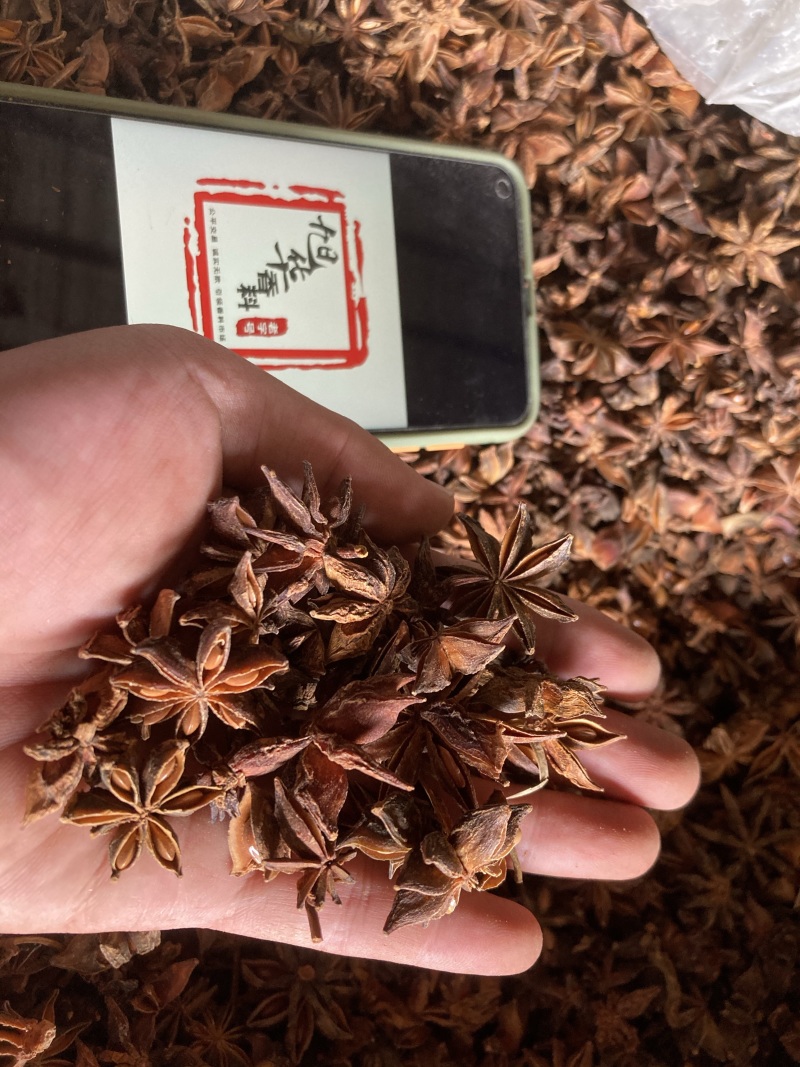 【广西特产】大红八角春花大料足干无硫新货产地一手货源