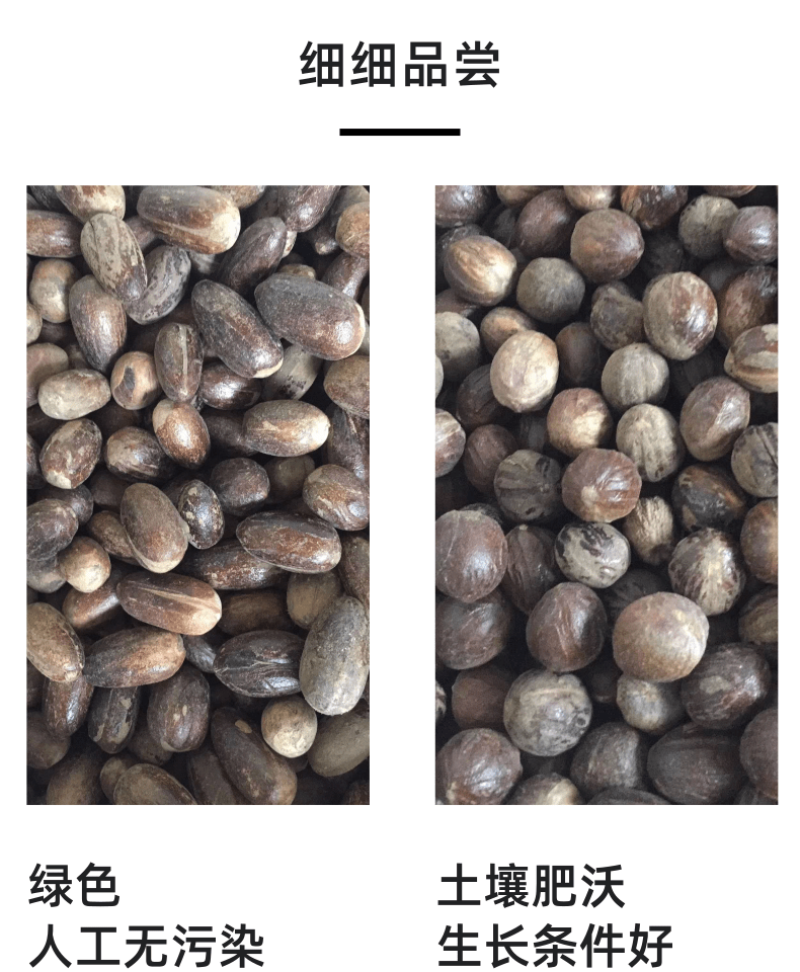 【旭华香料】圆香果长足干无硫油多光滑产地一手货量大包邮