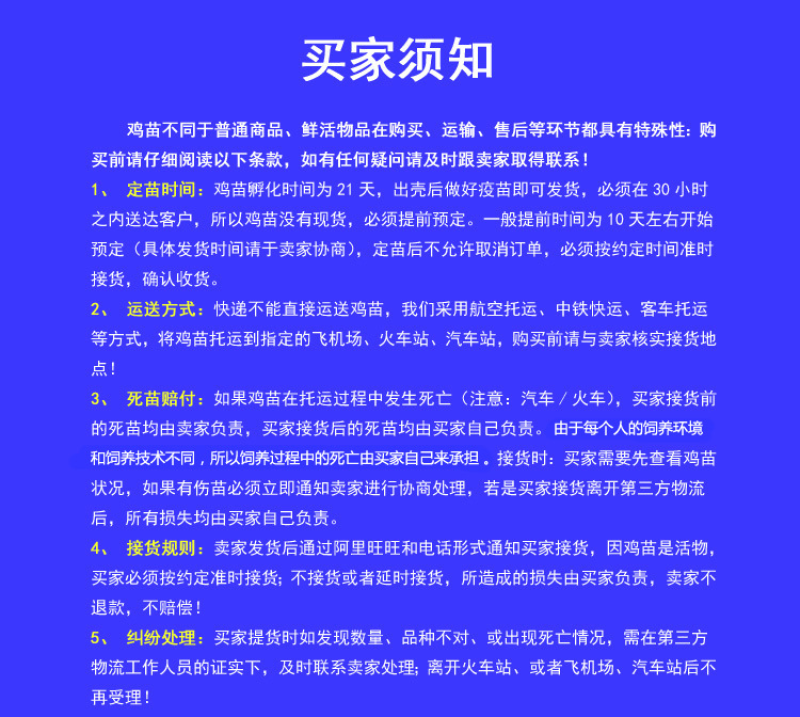 新广k901鸡苗大苗嫩口活力十足出厂包疫苗全国发货