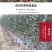 早熟新品种苹果树苗鲁丽脆甜中果苹果苗嫁接南方北方种植