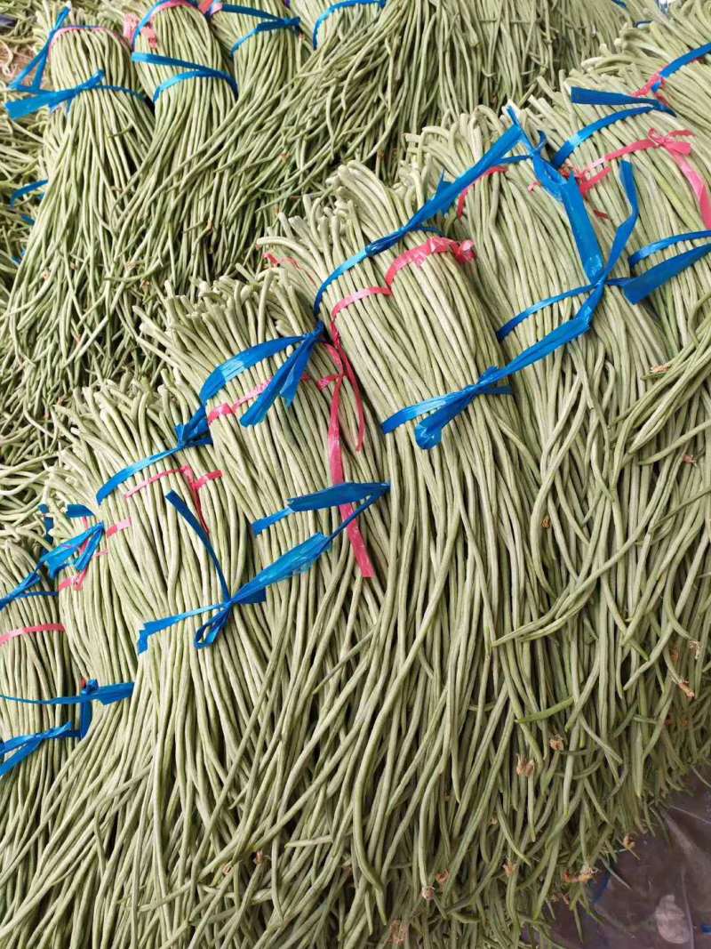 山东精品长豆角，质量保证，一手货源稳定供货全国