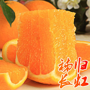 【湖北脐橙】秭归长虹脐橙火爆热销中产地批发