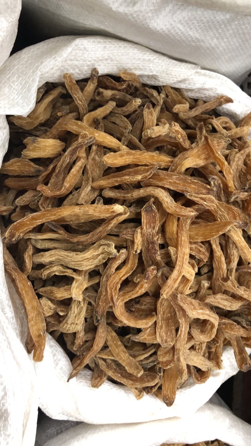 优质玉竹黄精统货野生货批发中药材支持线上交易