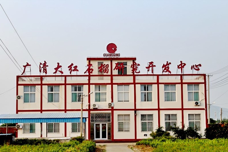红皮黑籽石榴苗黑籽甜石榴树苗南方北方种植地栽当年结果苗