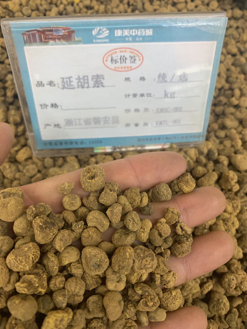 元胡延胡索无硫无杂质各种规格产地直销品质保证