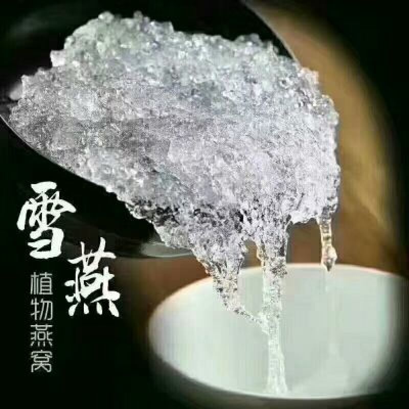 高品质特级雪燕一手货源500g装一斤也是批发价