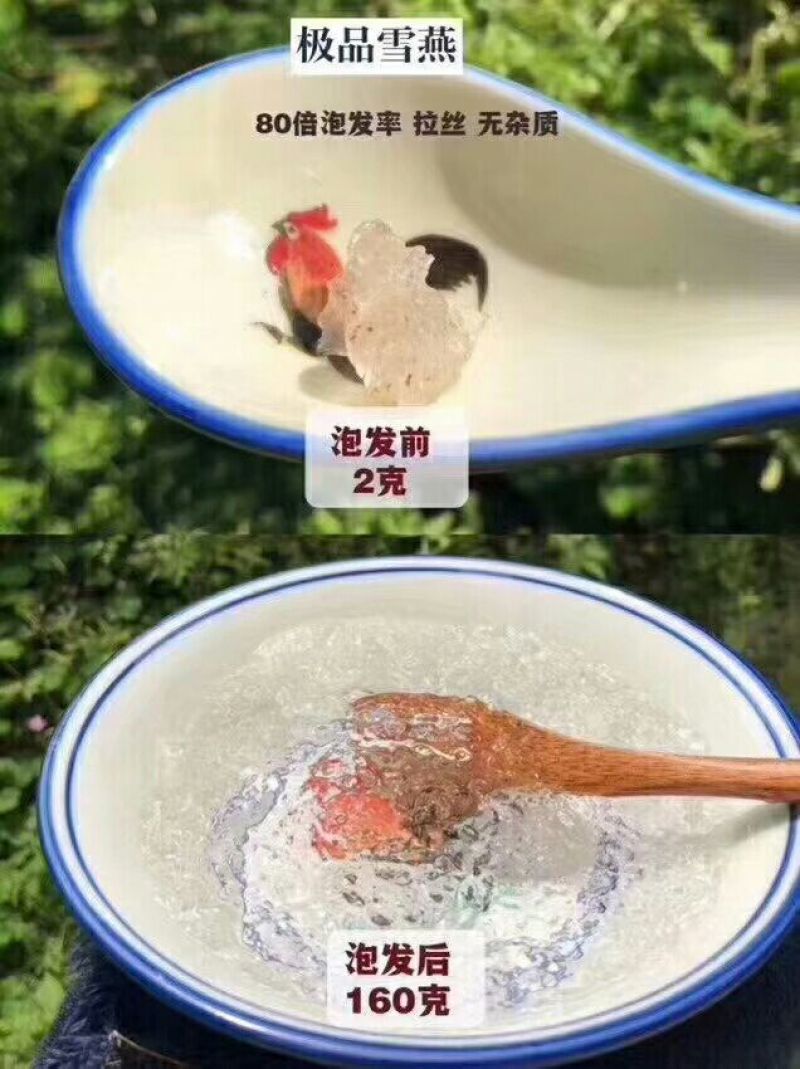 高品质特级雪燕一手货源500g装一斤也是批发价