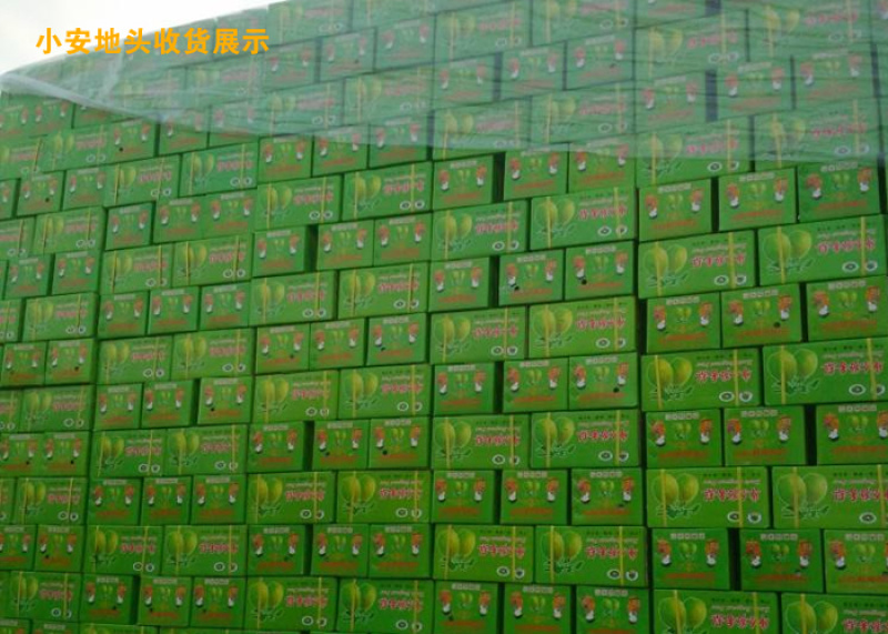 库尔勒香梨_专业代办_熟悉各地市场包装规格