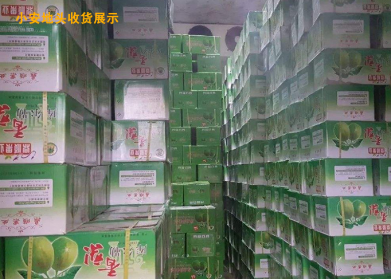 库尔勒香梨_专业代办_熟悉各地市场包装规格
