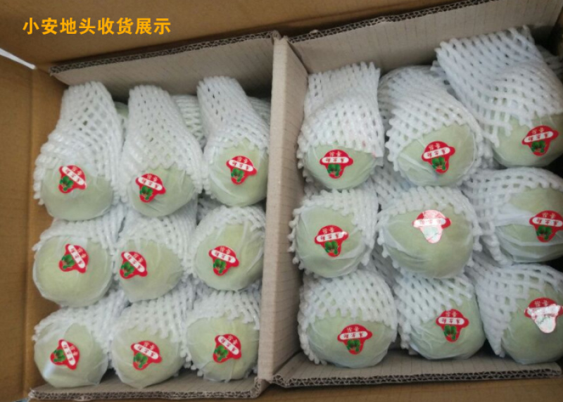 库尔勒香梨_专业代办_熟悉各地市场包装规格
