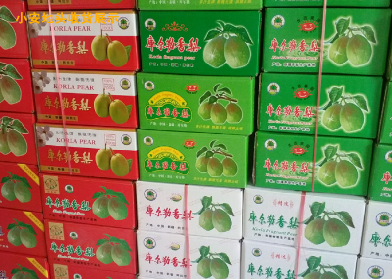 库尔勒香梨_专业代办_熟悉各地市场包装规格