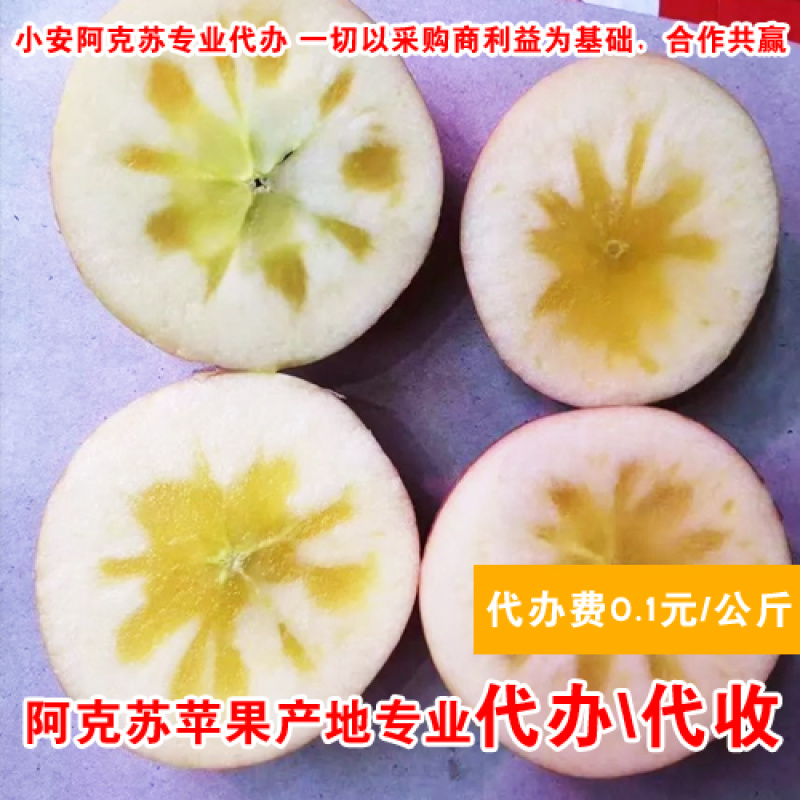阿克苏苹果代办_专业冰糖心苹果代收_产地红旗坡农场货源