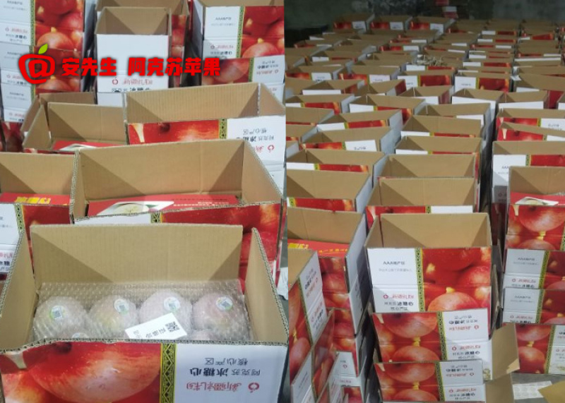 阿克苏苹果代办_专业冰糖心苹果代收_产地红旗坡农场货源