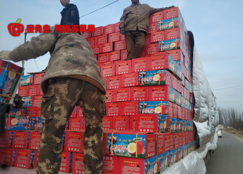 阿克苏苹果代办_专业冰糖心苹果代收_产地红旗坡农场货源