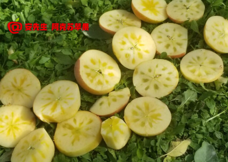 阿克苏苹果批发_企业团购_一件代发_带防伪码_5kg箱大