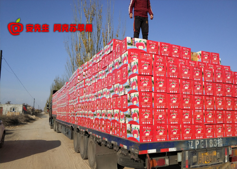 阿克苏苹果批发_企业团购_一件代发_带防伪码_5kg箱大