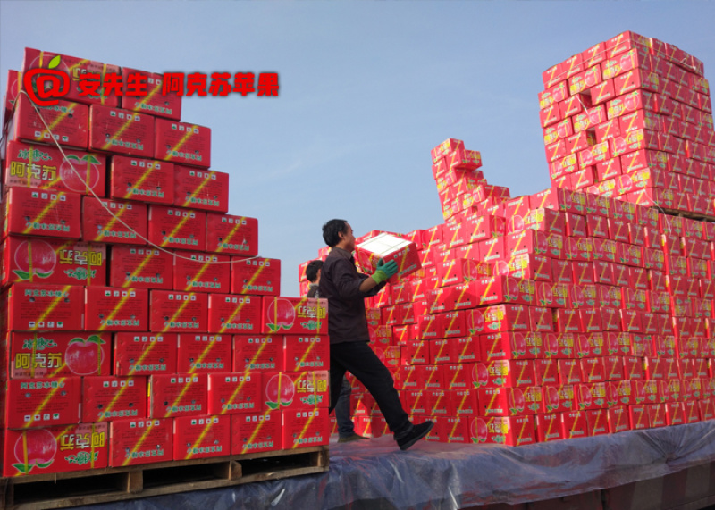 阿克苏苹果批发_企业团购_一件代发_带防伪码_5kg箱大