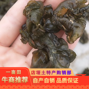 湖北本地野生地皮菜手挑筛选干货，产地直销，质量有保证