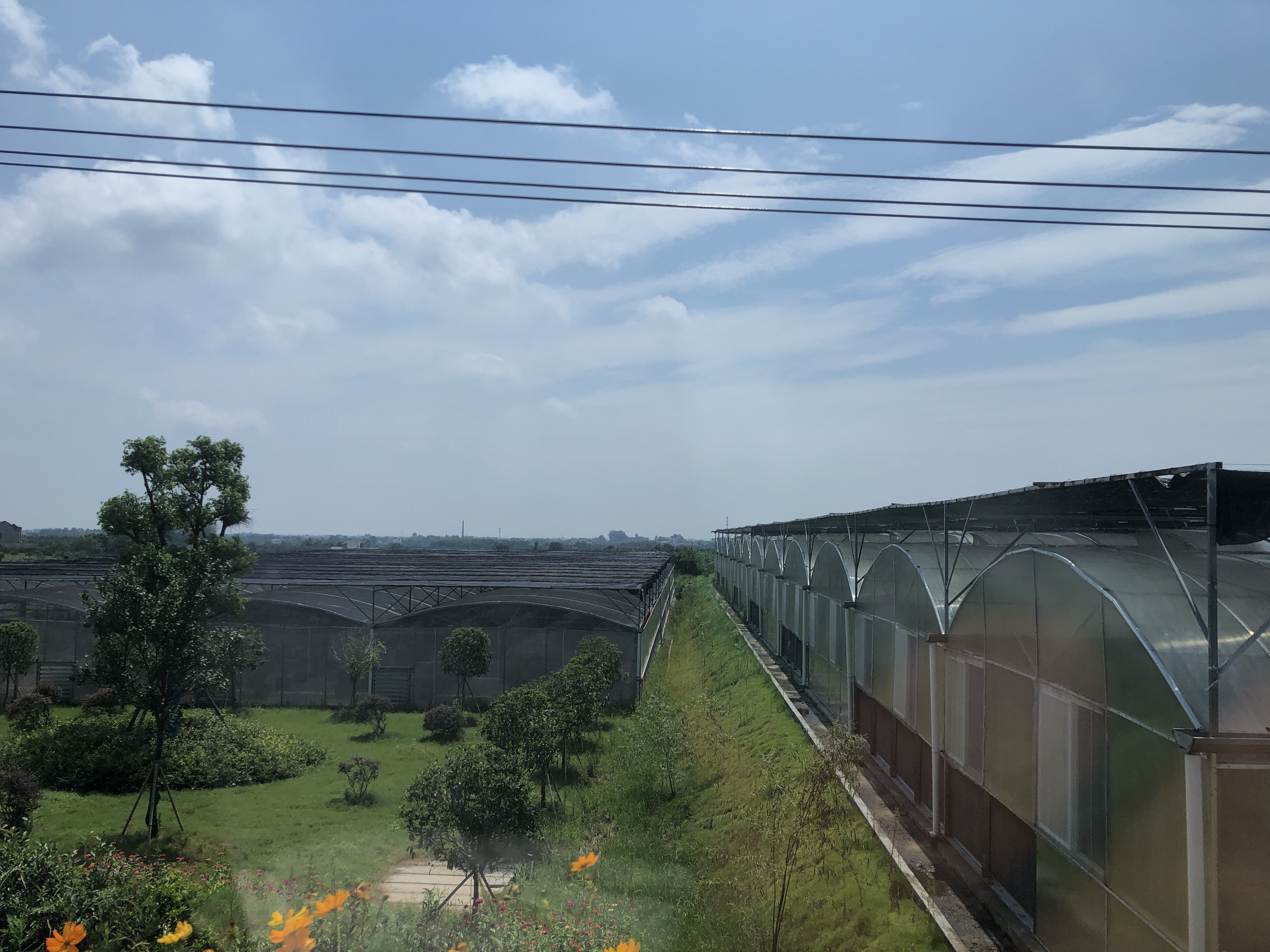 甜橙分信用评分界面示意图,展示评分等级与应用场景 甜橙分信用界面