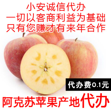 阿克苏苹果代办_专业冰糖心苹果代收_产地红旗坡农场货源
